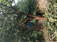 Industrial Land for Sale in Palej, Bharuch