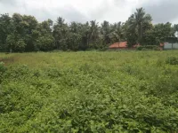 Agricultural Land for Sale in Uppalaguptam, East Godavari