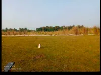 Residential Plot for Sale in Rajam, Srikakulam