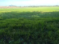  Agricultural Land for Sale in Agastheeswaram, Kanyakumari
