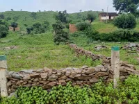 Commercial Land for Sale in 100 Ft Road, Udaipur