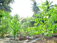 Agricultural Land for Sale in Mysore Road, Bangalore