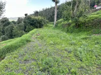  Residential Plot for Sale in Simtola, Almora