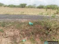  Agricultural Land for Sale in Srivilliputhur, Virudhunagar