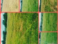  Agricultural Land for Sale in Polur, Tiruvannamalai