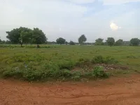  Agricultural Land for Sale in Tindivanam, Villupuram