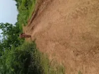  Agricultural Land for Sale in Mylavaram, Vijayawada