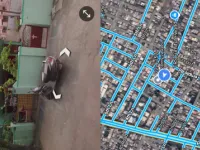 6 BHK House for Sale in Balaji Nagar, Old Guntur, 