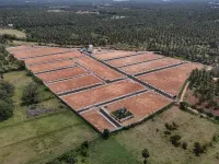  Residential Plot for Sale in Pollachi, Coimbatore