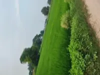  Agricultural Land for Sale in Farrukhnagar, Gurgaon