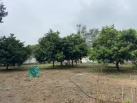  Agricultural Land for Sale in Sindhrot, Vadodara