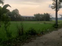  Residential Plot for Sale in Bilasipara, Dhubri