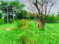  Agricultural Land for Sale in Parbatsar, Nagaur