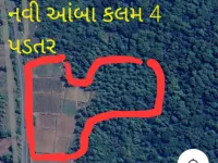  Agricultural Land for Sale in Chikhli, Navsari