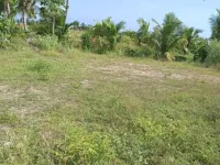  Agricultural Land for Rent in Kallakurichi, Villupuram