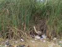  Residential Plot for Sale in Villapuram, Madurai