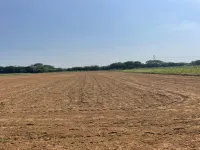  Agricultural Land for Sale in Sohna Palwal Road, Gurgaon