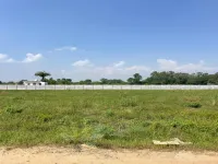  Agricultural Land for Sale in Tauru, Nuh