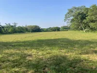 Agricultural Land for Sale in Sohna Road, Faridabad