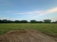 Agricultural Land for Sale in Sohna, Gurgaon