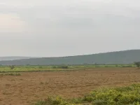  Agricultural Land for Sale in Pahari, Bharatpur