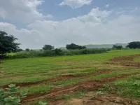  Agricultural Land for Sale in Pahari, Bharatpur