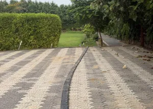 3 BHK Farm House for Sale in Sohna, Gurgaon
