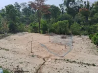  Residential Plot for Sale in Palampur, Kangra