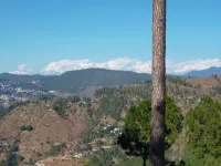  Residential Plot for Sale in Kausani, Almora