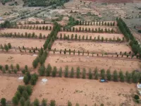  Residential Plot for Sale in Gauribidanur, Chikkaballapur, Bangalore