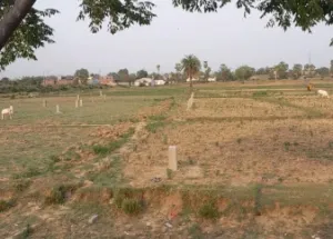 Residential Plot for Sale in Bodh Gaya