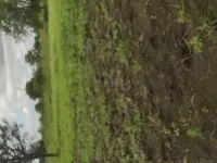  Residential Plot for Sale in Kandi, Sangareddy