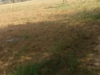  Industrial Land for Rent in Bansur, Alwar