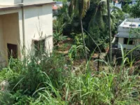 4 BHK House for Sale in Mundakayam, Kottayam