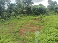  Residential Plot for Sale in Bicholim, Goa