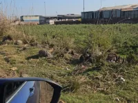  Industrial Land for Sale in Sumerpur Hamirpur