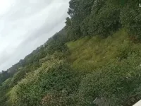  Agricultural Land for Sale in Hunsur, Mysore