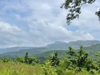  Agricultural Land for Sale in Alibag, Raigad
