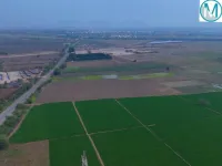  Agricultural Land for Sale in Kondapalli, Vijayawada