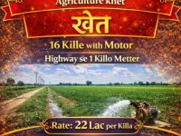  Agricultural Land for Sale in Phagwara, Kapurthala