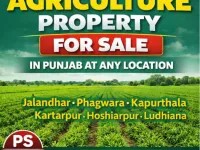  Agricultural Land for Sale in Deep Nagar, Jalandhar