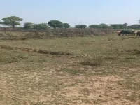 Residential Plot for Sale in Jaipur Road, Dausa