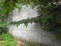 Commercial Land for Sale in Lalbagh Road, Bangalore