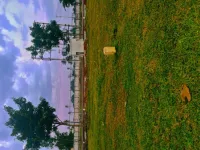 Residential Plot for Sale in Vijayapura, Bangalore