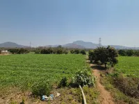  Residential Plot for Sale in Wada, Palghar