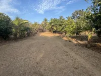 Residential Plot for Sale in Dahanu, Palghar