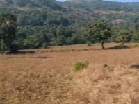  Agricultural Land for Sale in Lonavala, Pune