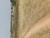  Residential Plot for Sale in Gorimedu, Salem