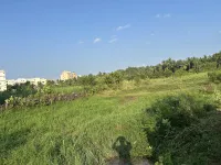  Residential Plot for Sale in Amalapuram, East Godavari