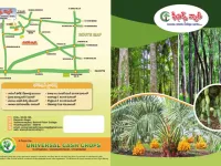  Agricultural Land for Sale in Devarapalli, Visakhapatnam